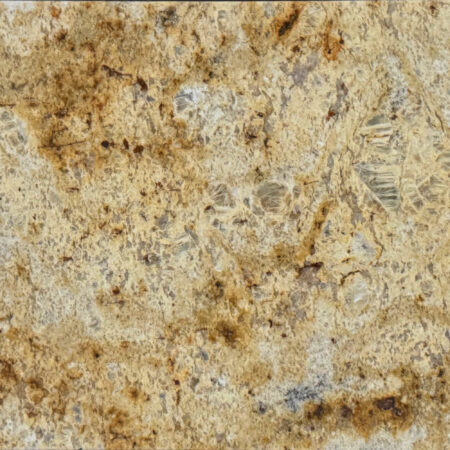 Granit Sockelleiste Colonial Gold 61x7x1 cm poliert